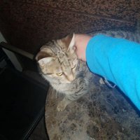 Kısacajack (@ksacajack) Twitter profile photo