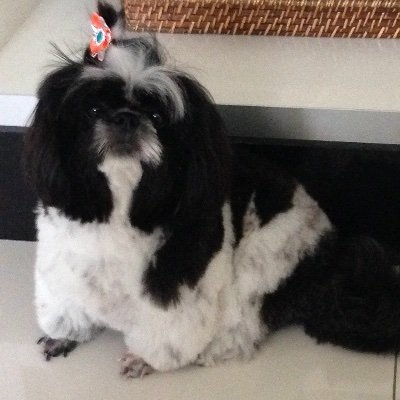 SchoolP72869301's profile picture. This is an account created for a university project.