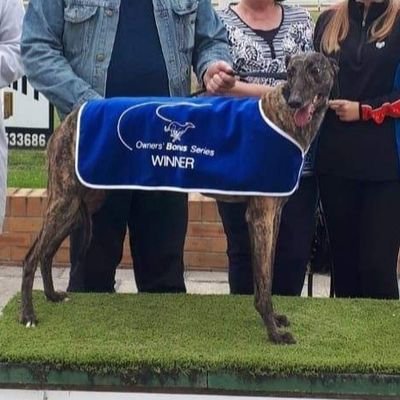 Crazy greyhound lady on and off the track
