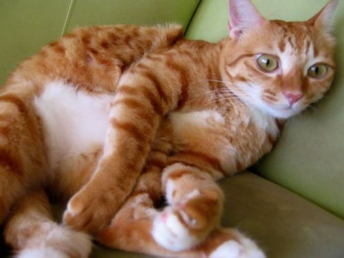 addbookmarkss's profile picture. 