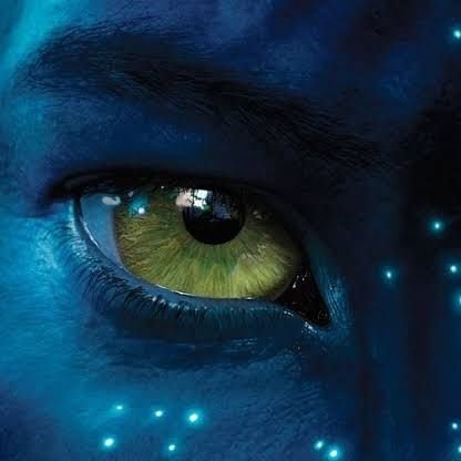 Toruk maktoさんのプロフィール画像