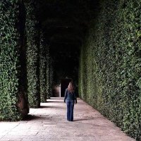 Francesca Ferro (@frantzisca73) 's Twitter Profile
