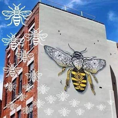 mancuniman's profile picture. 