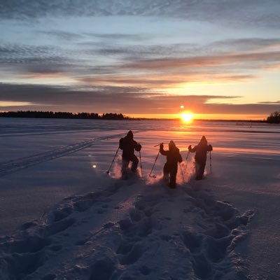 megbeaven's profile picture. lifelong learner, educator, mother, wife, coach, artist
