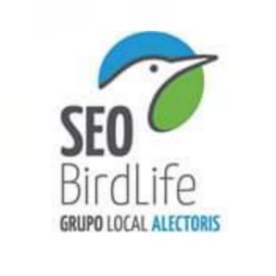 Grupo local de SEO-Birdlife y asociación ornitológica de la Facultad de Biología de la UCM. Hacemos salidas al campo, charlas, cursos... ¡y mucho más!