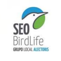 SEO-Alectoris(@SEOAlectoris) 's Twitter Profileg