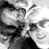 Jo Taylor (@joctaylor15) 's Twitter Profile Photo