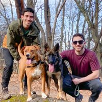 Tj Reale (@treale10) 's Twitter Profile