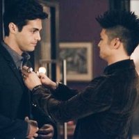 Saveshadowhuntersplease(@Savesha01236986) 's Twitter Profile Photo