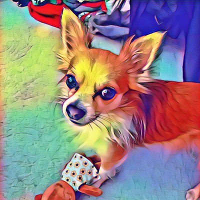 ramm_viola's profile picture. schreiben