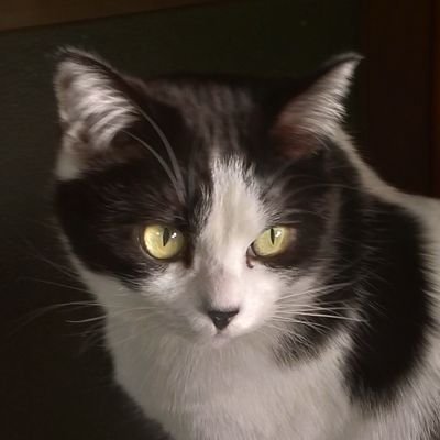 Nukoburgさんのプロフィール画像