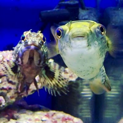 ソラさんのプロフィール画像