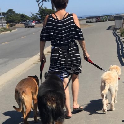 skyegentile1's profile picture. 