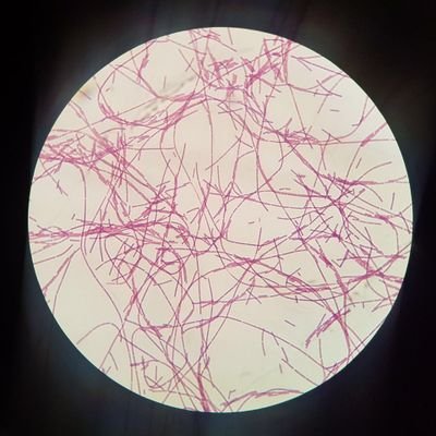 AndreVargasAgu1's profile picture. Ich bin hier, um zu lernen