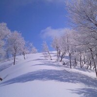 Taro (@taro_flyfisher) 's Twitter Profile