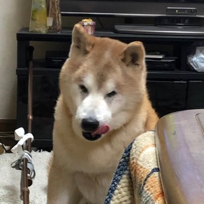 a27911931_a's profile picture. 