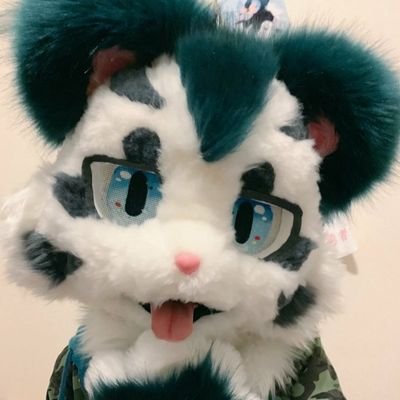 ハーフの雪月(♀)と申します！誕生日は10月28日、まだ生まれたばかりの小虎ちゃんです🐯
色んな子と繋がれたら嬉しいなと思います！宜しくお願いします！雪月の製作者さん→【 @_amamisakura 】