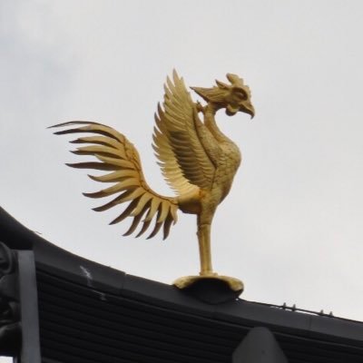 大阪出身👨🦲┃外国人妻👰┃駐在経験5年┃計画性の無い貯金→投資💹┃配当金生活┃楽天経済圏┃自己投資と日々の積み上げ┃身の丈に合わせた生活┃英会話🇬🇧┃読書📖┃ランニング🏃┃セレッソ大阪・インテルミラノ┃FM802 Zip-FM┃生活を変えてくれたTwitterに恩返ししたい。