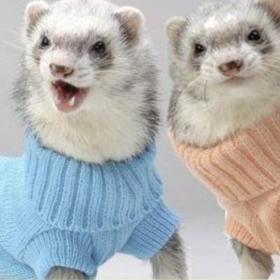 krayzpipes's profile picture. Infosec, father, husband, follower of Christ.