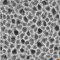 Hutter Lab (@hutterlab) 's Twitter Profile