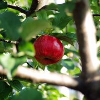 dafna kaufman (@dwkgr) 's Twitter Profile