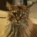 Eleanor Warren - @podvod - Twitter