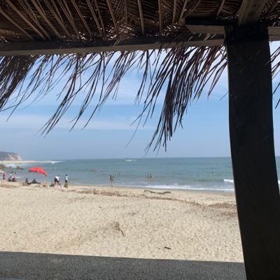 Carolynnnaz's profile picture. Mom, wife, sister, friend. Educator, administrator, lover of learning. Singer, chorister, volunteer, cultural junkie. Constantly curious!