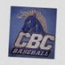 Central Baptist College Baseball (@CentBapBaseball) Twitter profile photo