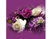 samah abed - @samaho7a - Twitter