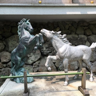 9WTz7B88h8t8xnW's profile picture. 気まぐれ人間です。このアカウントは自分のために自分の想い想いに使います。 ほぼほぼロムるけど