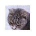 天方 貴久,Yoshihisa Amakata,c--power (@cmmpower) Twitter profile photo 天方 貴久,Yoshihisa Amakata,c--power (@cmmpower) Twitter profile photo