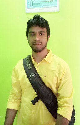 Professional Web Developer and Wix, Weebly and Wordpress Expert