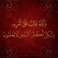 سبحان الله (@cgfjxnv042ixr3q) Twitter profile photo
