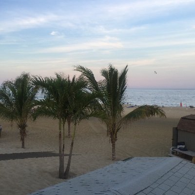 leitergirl's profile picture. His Eye is on the sparrow Mom to 24 year-old, Grandma 👵🏽 
Respiratory therapist by profession (I heart lungs); CASA; Love baseball