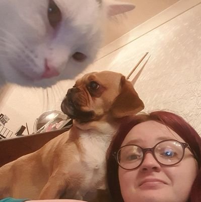 lkent45's profile picture. got a cat.
loves VW Campervans
loves urbex