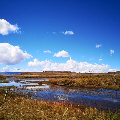 YuekaiShi's profile picture. PhD in medicine