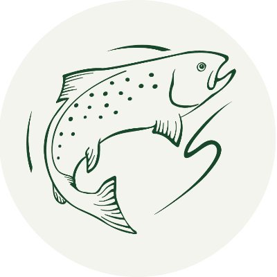 The Wild Trout Trust Profile