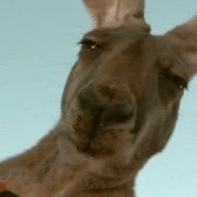 clotne's profile picture. 