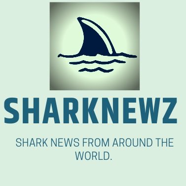 SharkNewz Profile Picture
