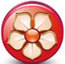 ThemeDealer's profile picture. Best WordPress Theme Deals.