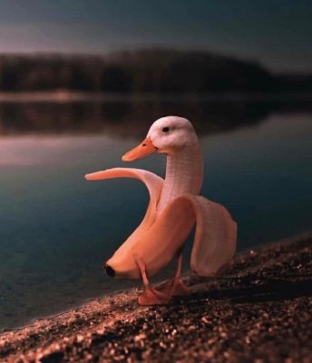 spacebomb250's profile picture. Ready to launch the Spacebomb!