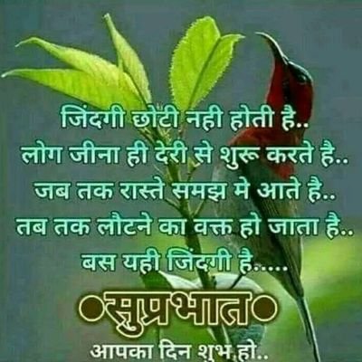 100% follow back Jai Shri ram  24hour wait follow me otherwise unfollow