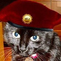 Minnie moocha McHugh (@minnemoocha) 's Twitter Profile