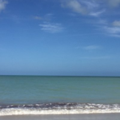 wilmerarley's profile picture. Ingeniero Agrónomo.