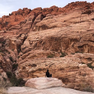 hatton555's profile picture. 1991.11.25忍者ハットリ