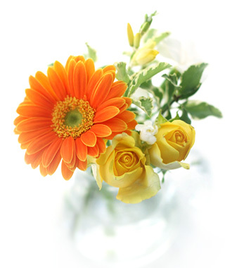 DominikKaufmn's profile picture. 