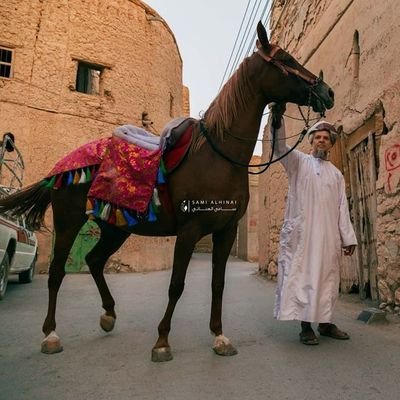 abusaga22's profile picture. 