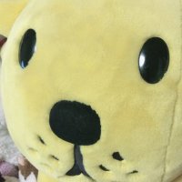 らいおん古着店 (@lion_u_c_s) 's Twitter Profile