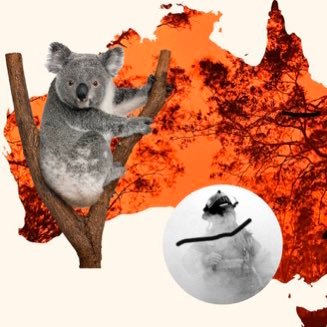 We are hear to spread awareness about Wildfires in Australia due to Climate Change.