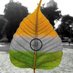 Pradip Nikam (@npk_21) Twitter profile photo Pradip Nikam (@npk_21) Twitter profile photo